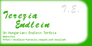terezia endlein business card