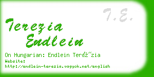 terezia endlein business card